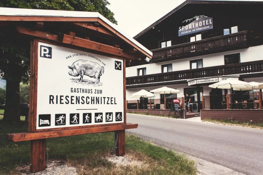 Sporthotel Puchberg am Schneeberg
