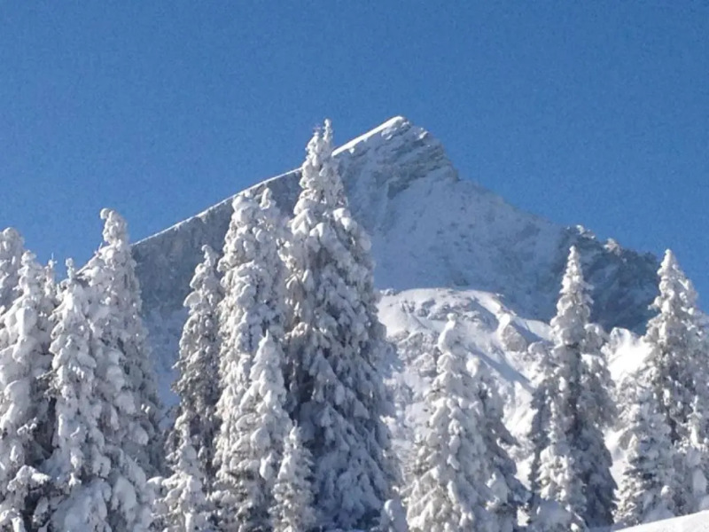 Ferienappartment Zürker