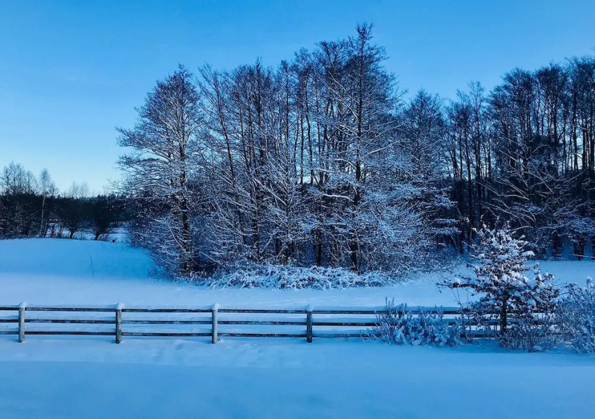 Ostsee Lounge Apartments