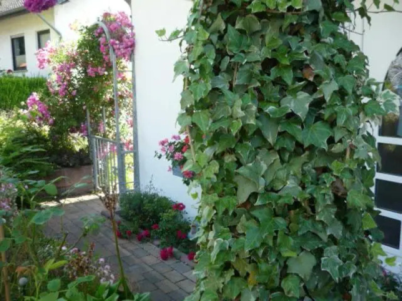 Gästehaus Rosengarten im Nahetal