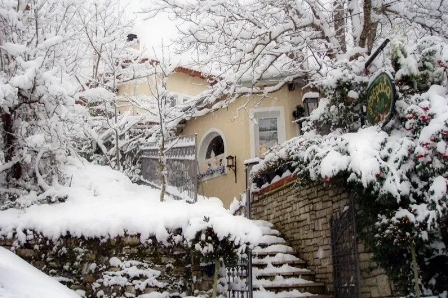 Anerada inn Luxury Suites & Villa - Pet Friendly