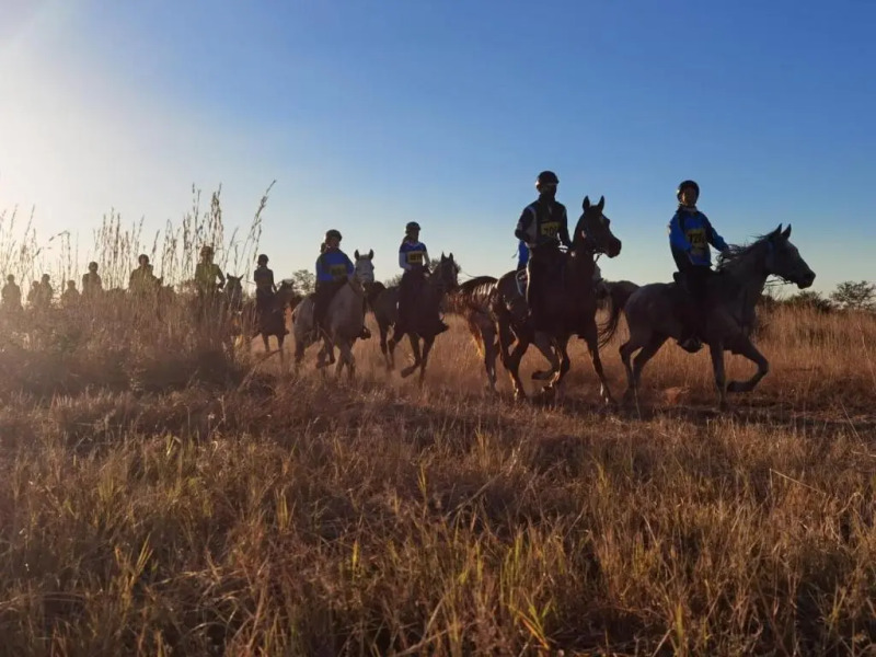 Sondela Nature Reserve & Spa Moselesele Tents