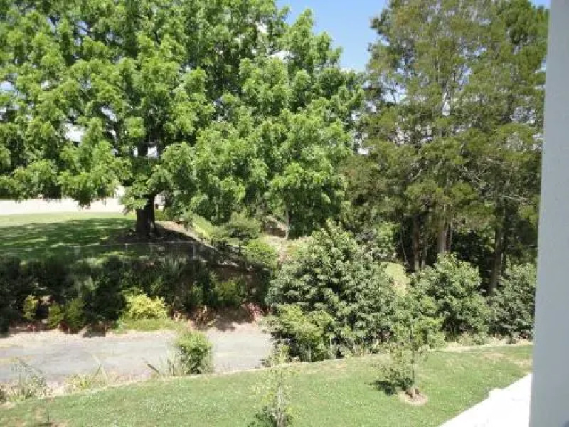 The Olive Grove Suite