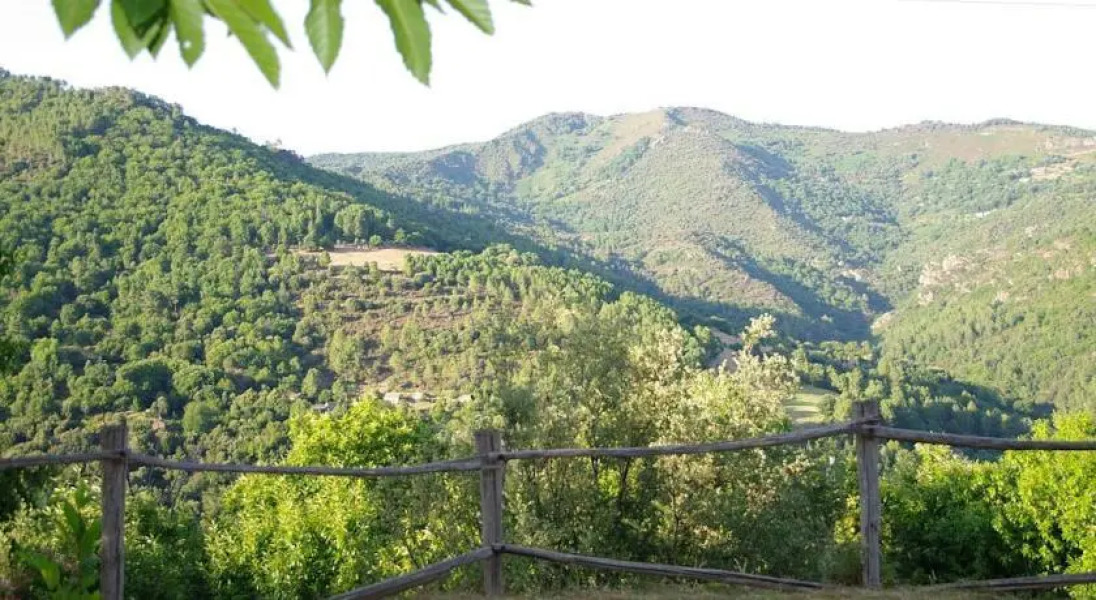 La Maison des Bogues La Liquière