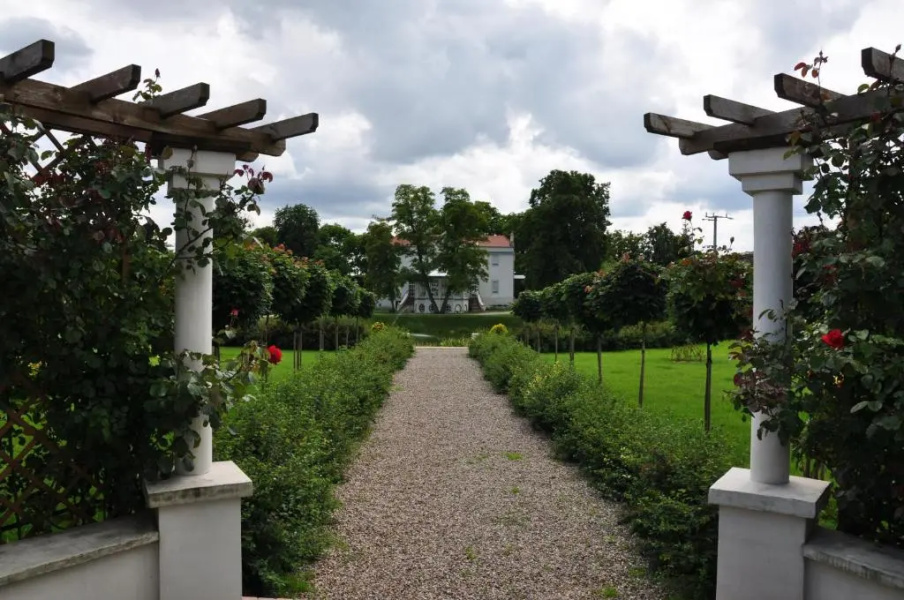 Restauracja - Hotel Pałacowa