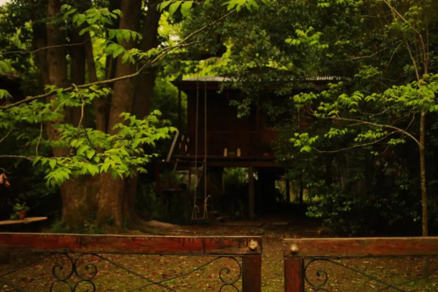 Cabaña Los Alcanfores