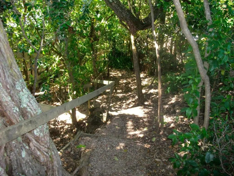 Bush Beach Delight - Onetangi Holiday Home