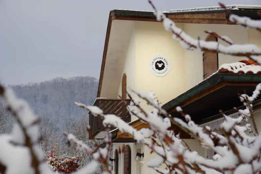 Bed & Breakfast La Pecora Nera