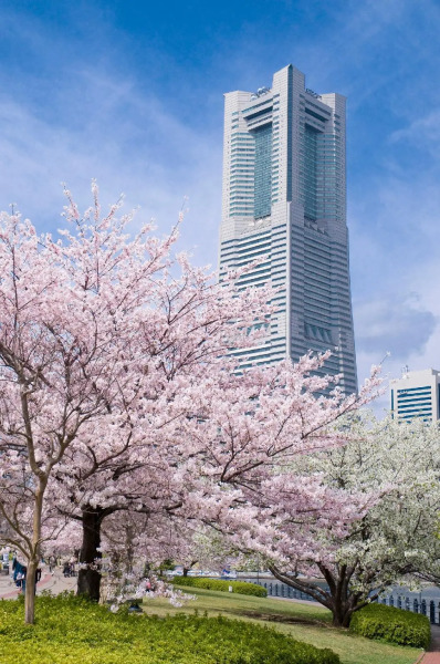 THE KAHALA Hotel & Resort YOKOHAMA