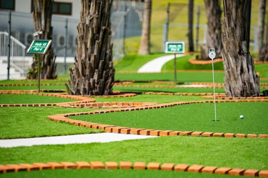 Rose Lanescape  Hanoi