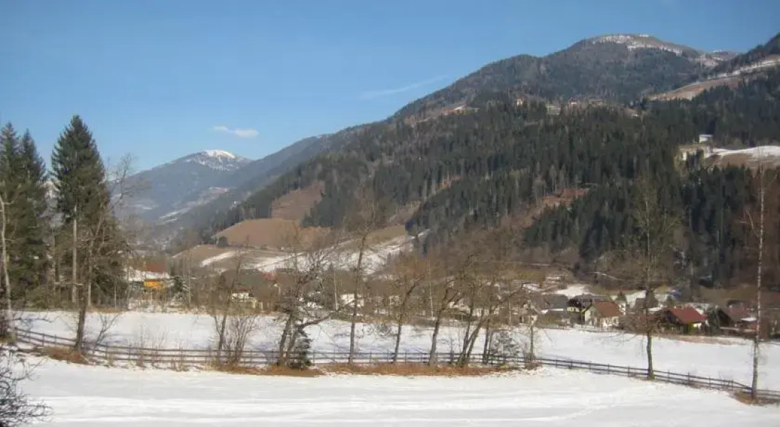 Haus am Fichtenweg Apartment