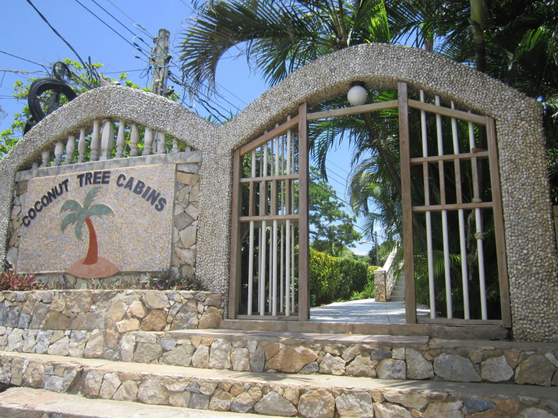 Coconut Tree West End