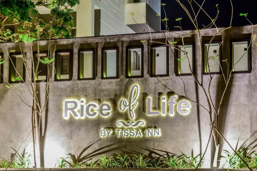 Rice of Life by Tissa Inn