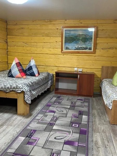 Чижик на улице Дворникова 12А