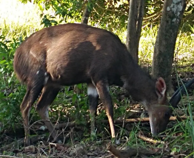 San Lameer Villa 2012