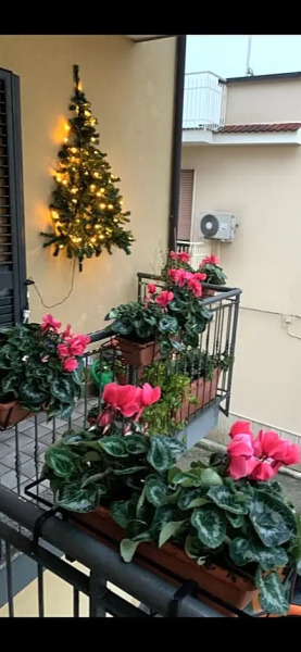 B&B San Pietro Book sharing