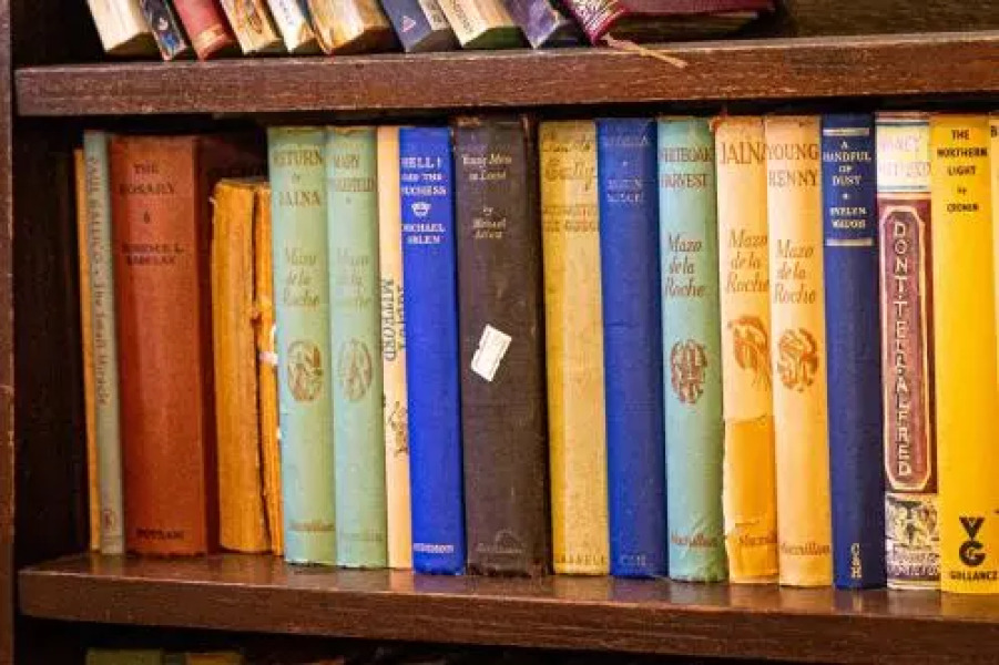 Ginestraio in Sant'Albino