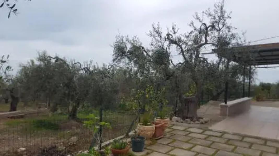 Casa Vacanze Macchia Verde