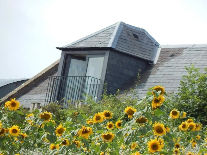 Cockle Kitty Cottage