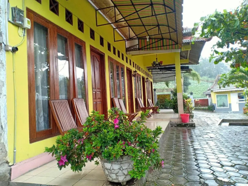 OYO Life 3020 Penginapan Citra Rasa