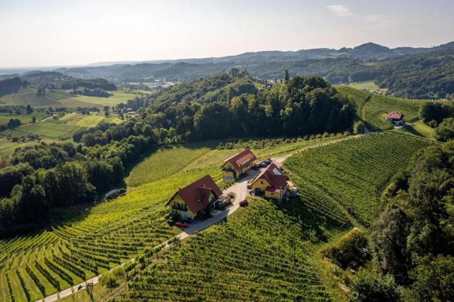 Weingut Gästehaus Otmar Birnstingl