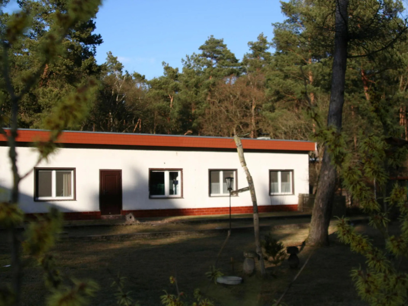 Forest Getaway in Berlin