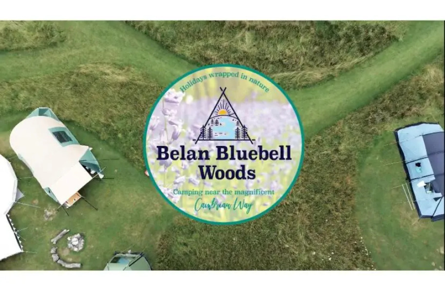 Daisy Bell Tent at Belan Bluebell Woods