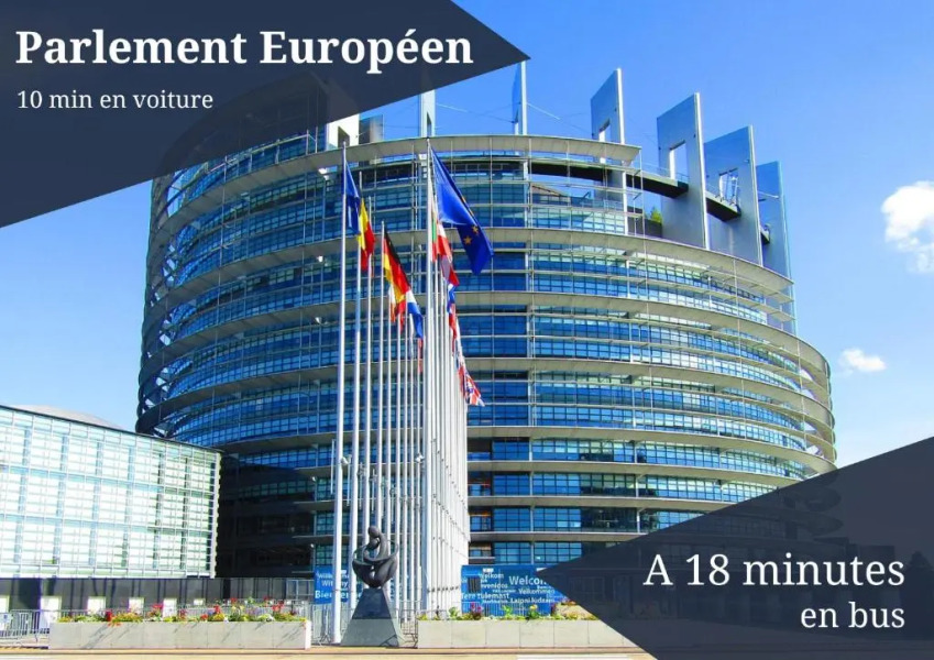 Le Rêve Bleu - GOLDEN TREE - Wifi - 15min centre ville de Strasbourg