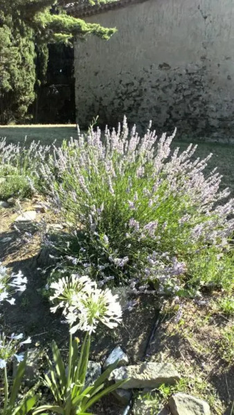 Pavillon de Villefrancou