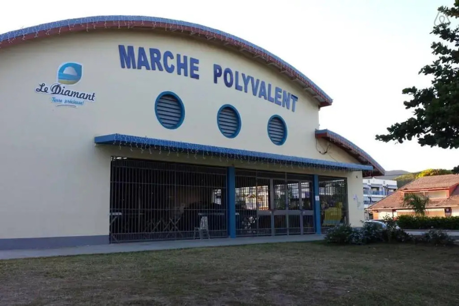 Magnifique Villa climatisée, piscine et jardin à 5mn de la plage