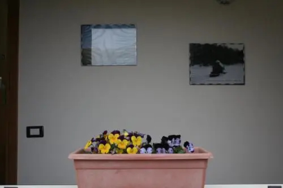 Bed and Breakfast Cirelli