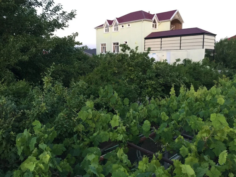 Отель Hasanovs Villa