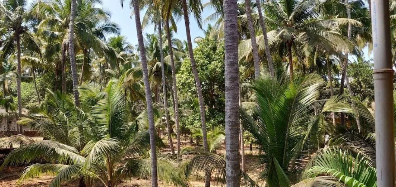 Whistling Bamboos Apartment