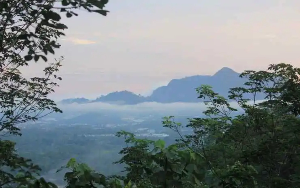 Gibbon Retreat Bentong