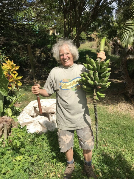 Sweet Spot Stay - Tikis and Treetops