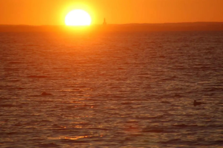 Ostsee-Ferienoase-3-Raum-App-Typ-1