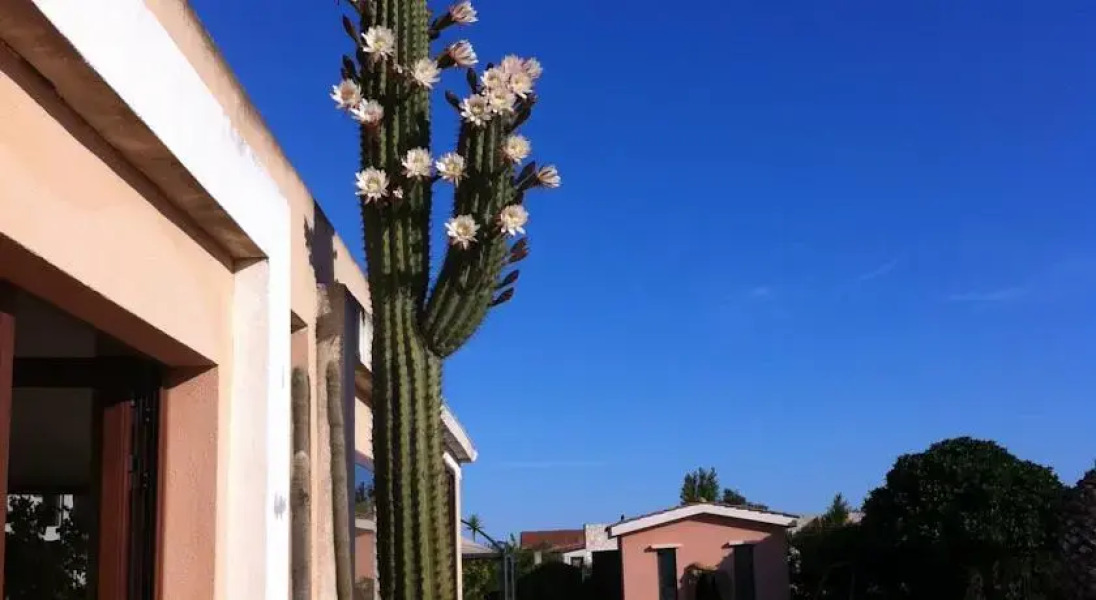 B&B Villa Ermenegilda