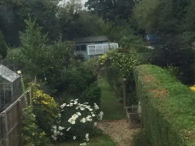 The Cottage