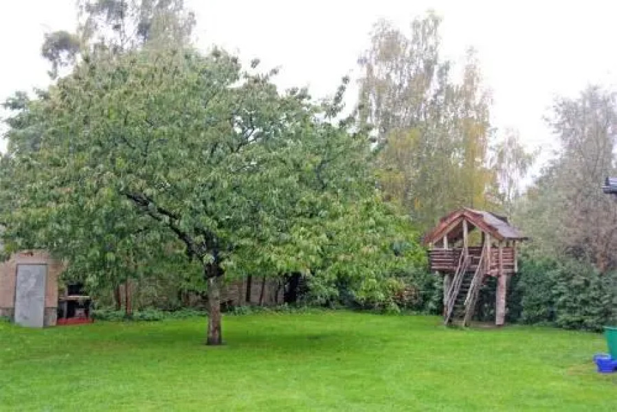 Ferienwohnung Zirtow SEE 8351