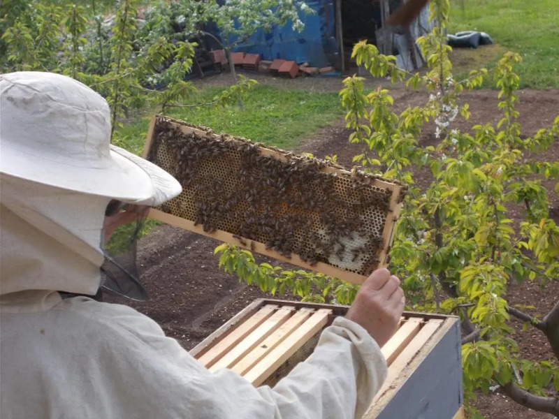 Guesthouse Feel Lake