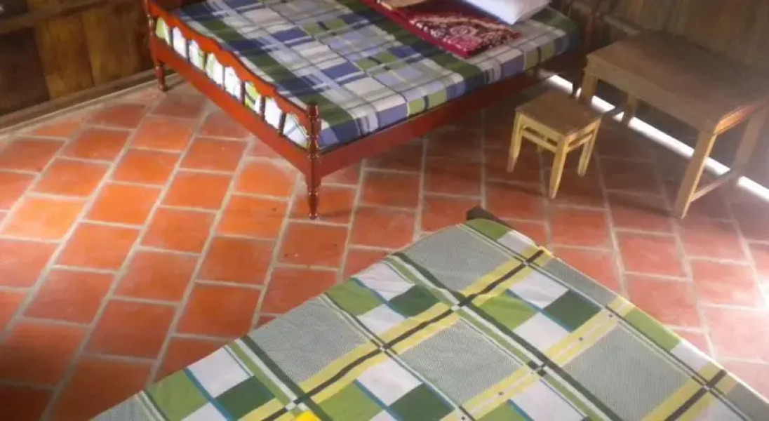 Mai Thanh Van Homestay