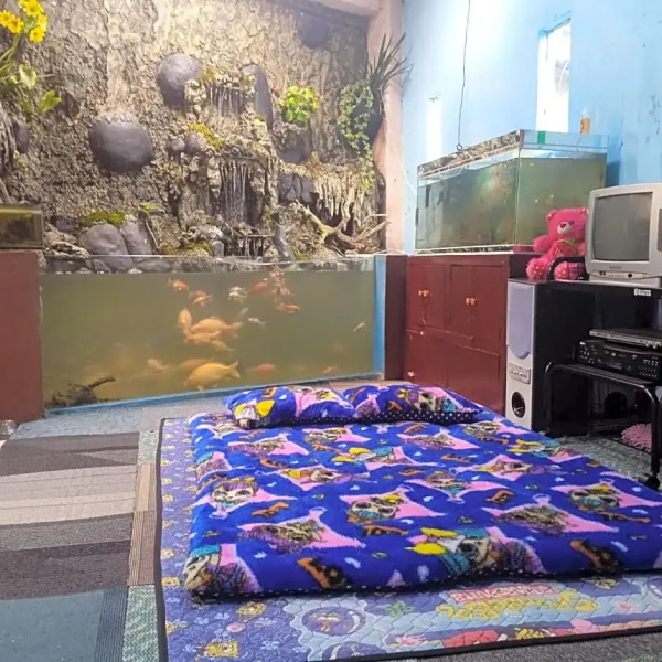 Pelangi Homestay by Luxury Degree