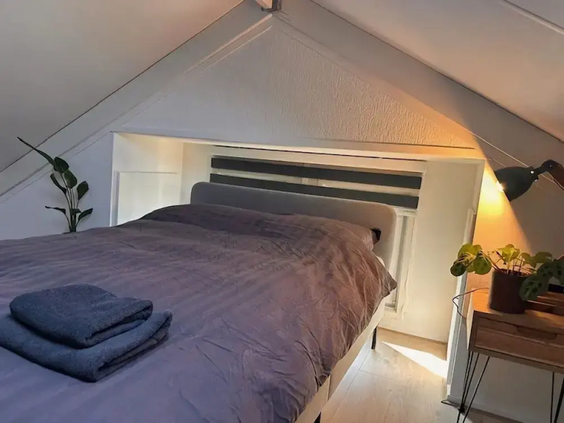 Forest Cabin With Pets