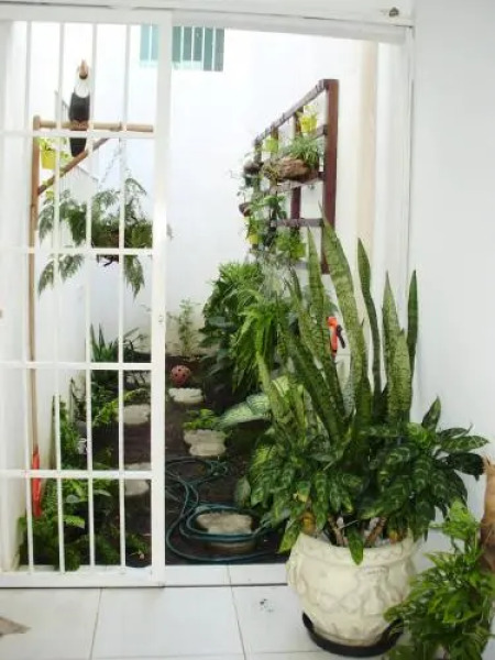 Aconchego dos Milagres