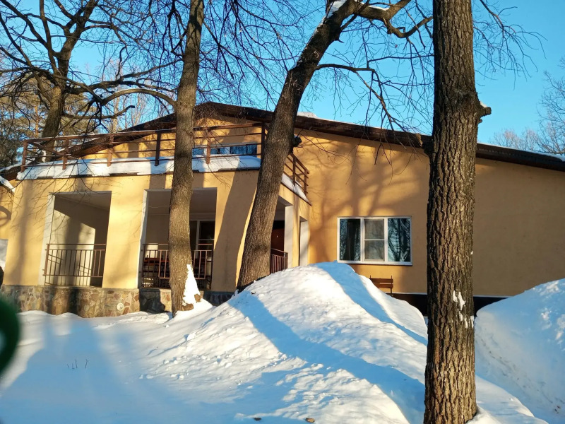 Дубки у Валентины