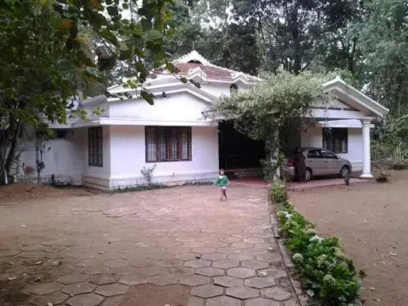 Nelliyampathy Whistling Thrush Bungalow