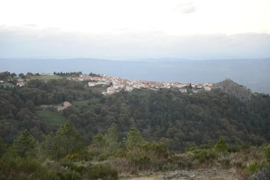 Terra Mista Alojamento Local