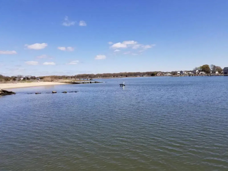 Saybrook Manor House, Walk to Cove Beach!