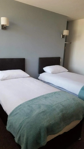 The Bear on the Square