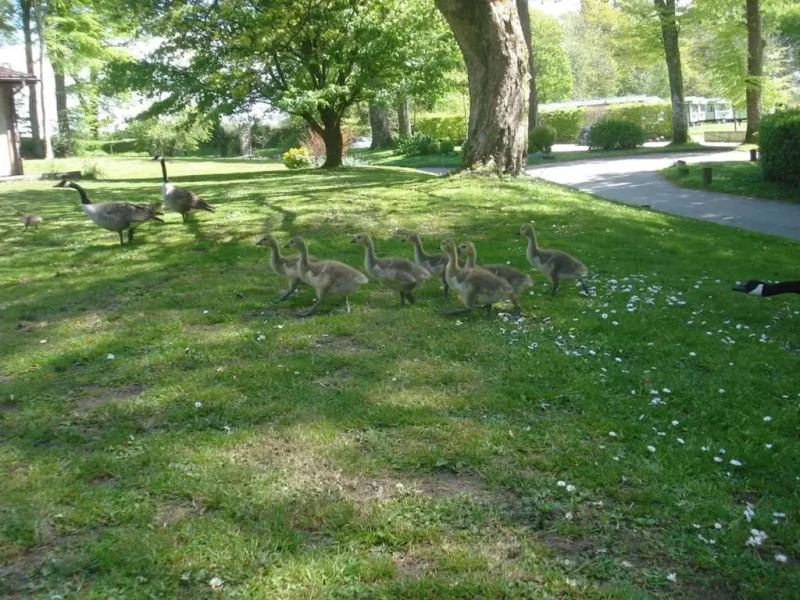 Detached Bungalow in North Cornwall